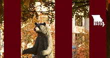 Founded in 1905: Bear statue in front of autumn leaves