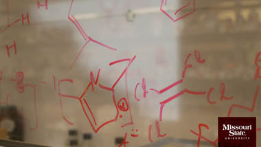 Zoom background: Chemist Bears in action.