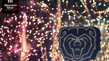 Zoom background: Bear fireworks.