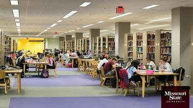 Zoom background: Meyer Library study area.