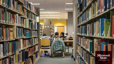 Zoom background: Students studying in Meyer Library.