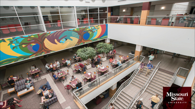 Zoom background: Plaster Student Union atrium.