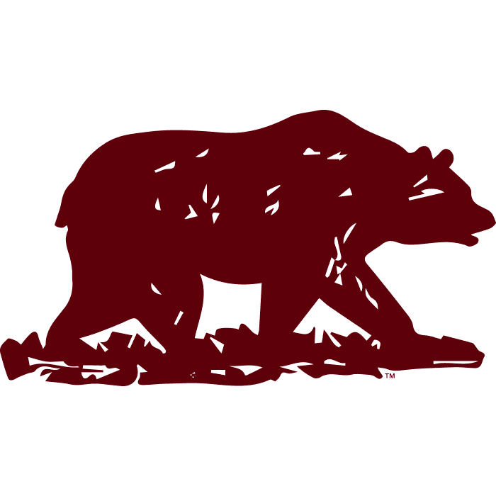 Sample of the walking Bear pride icon