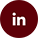 LinkedIn icon